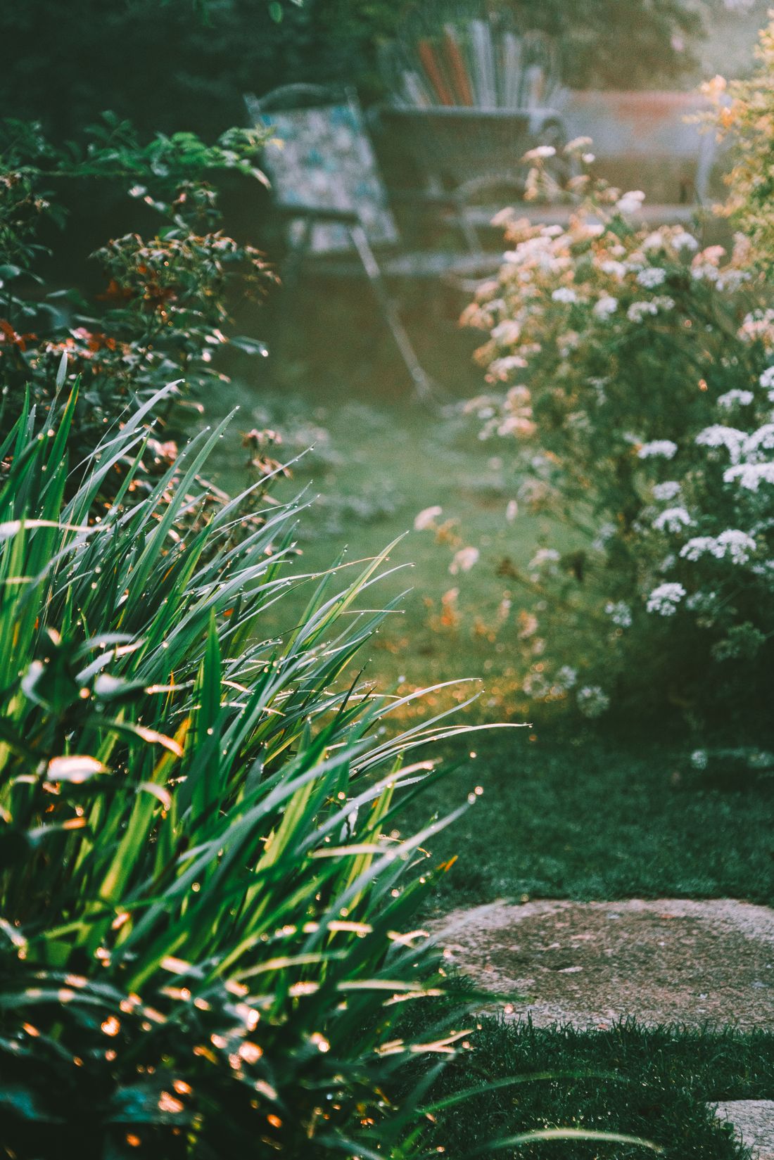 Üppiger, gepflegter Garten am Morgen
