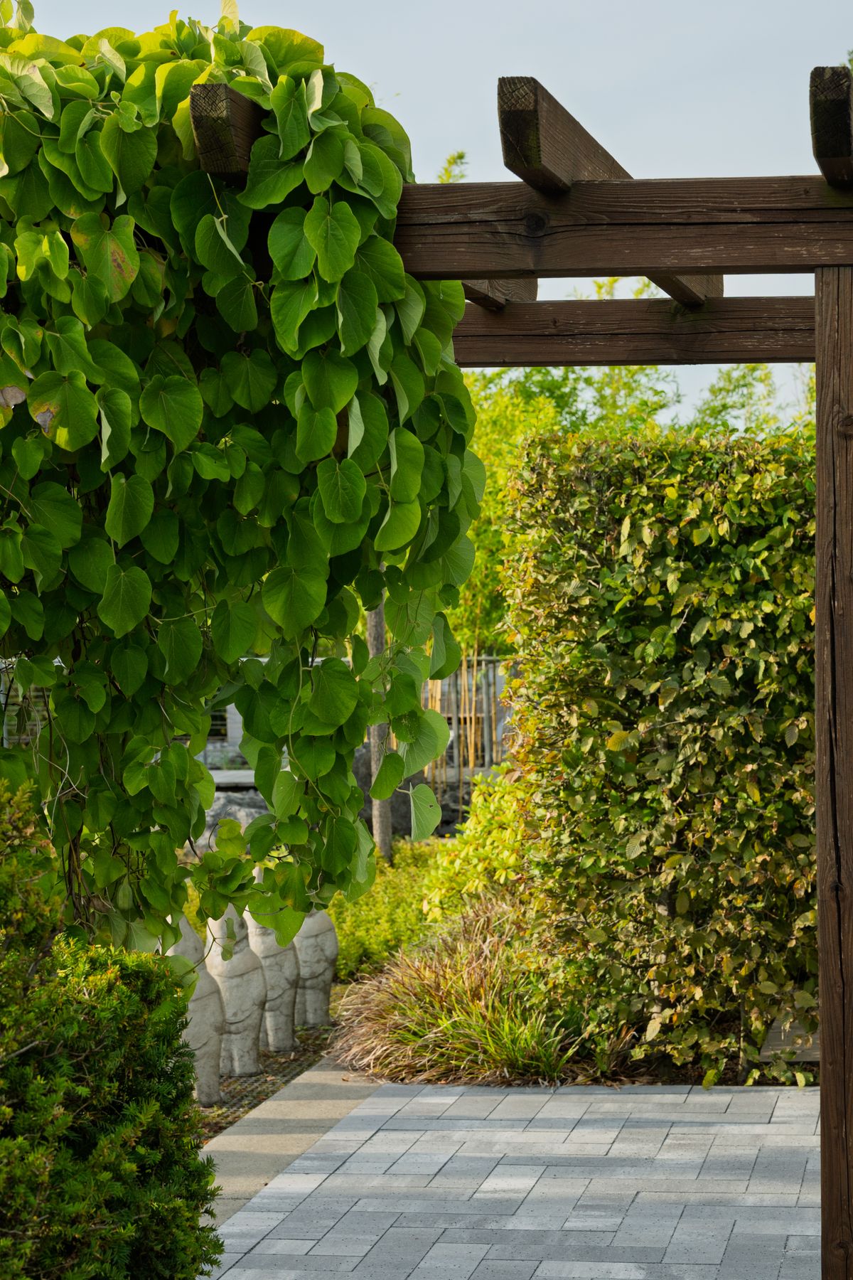 Neu gestalteter Garten mit Pergola und Bepflanzung