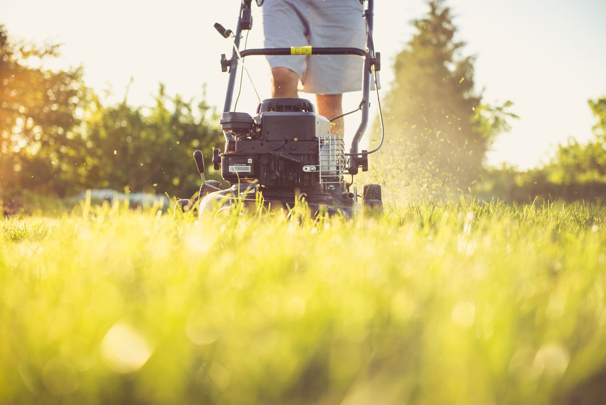 Rasen mähen und Gartenpflege